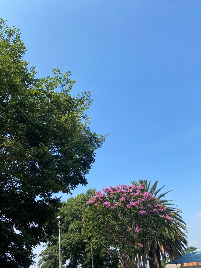 walking near me in Wannenburghoogte Park in summer