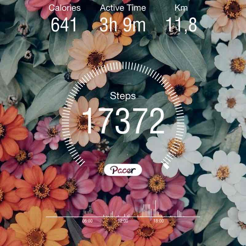 Gugu.M post 1