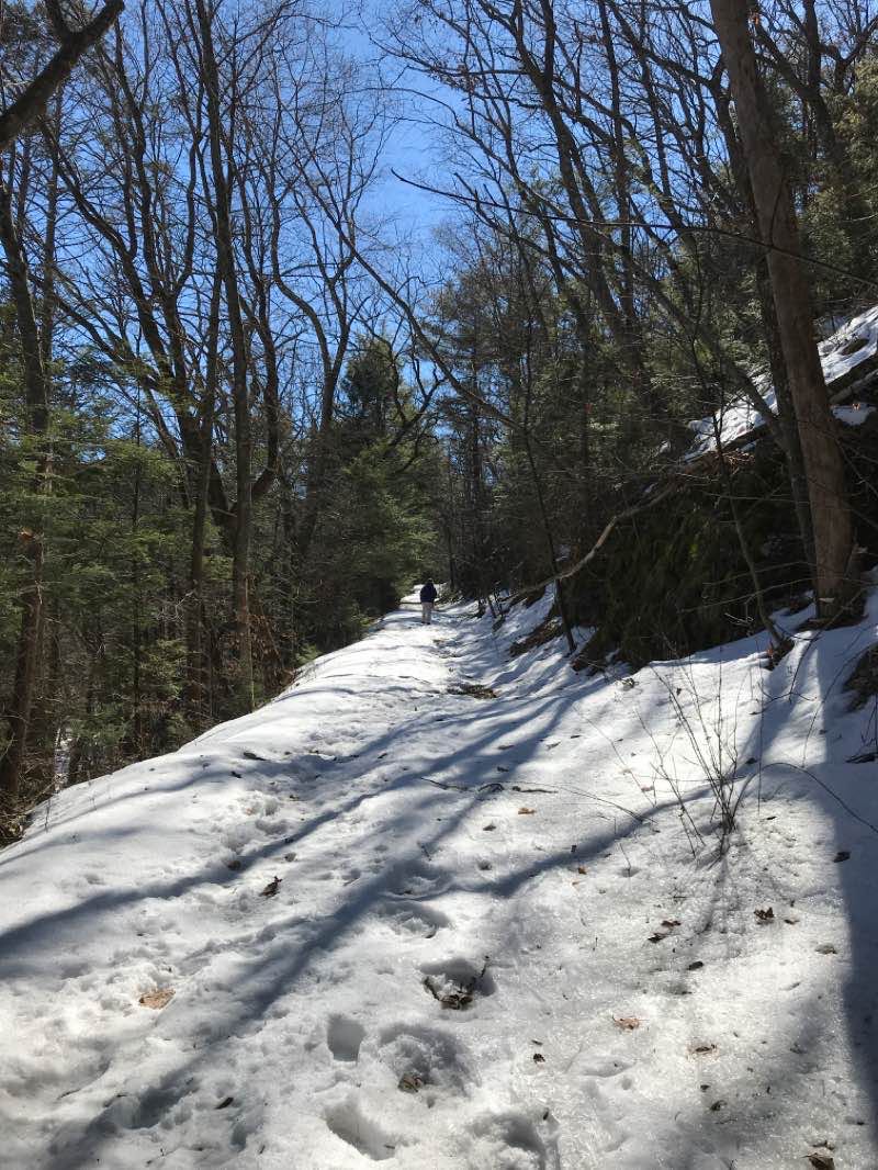 walking near me in Greenwood Furnace State Park in winter
