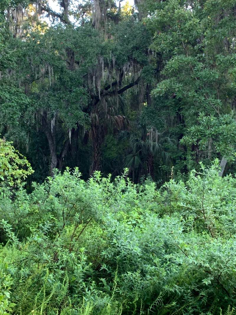 walking near me in Ibis Park in winter