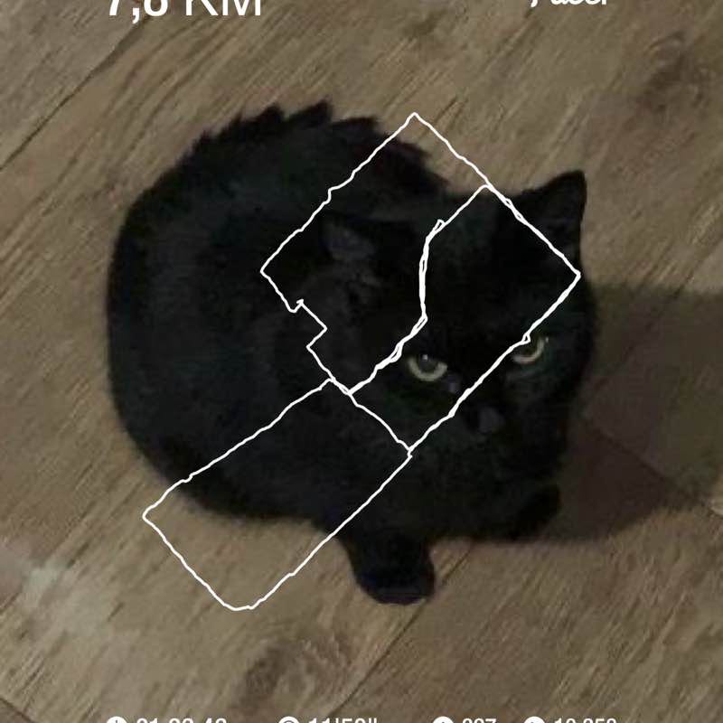 Акмарал Кудряшова post 1