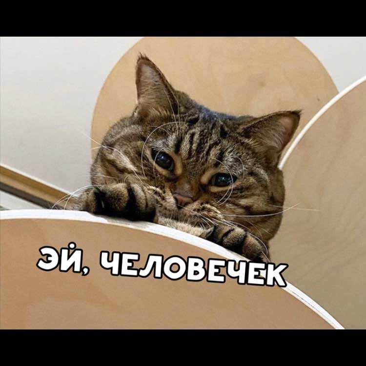 🦊Мария🇷🇺 post 1
