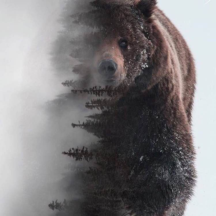 🦊Мария🇷🇺 post 1