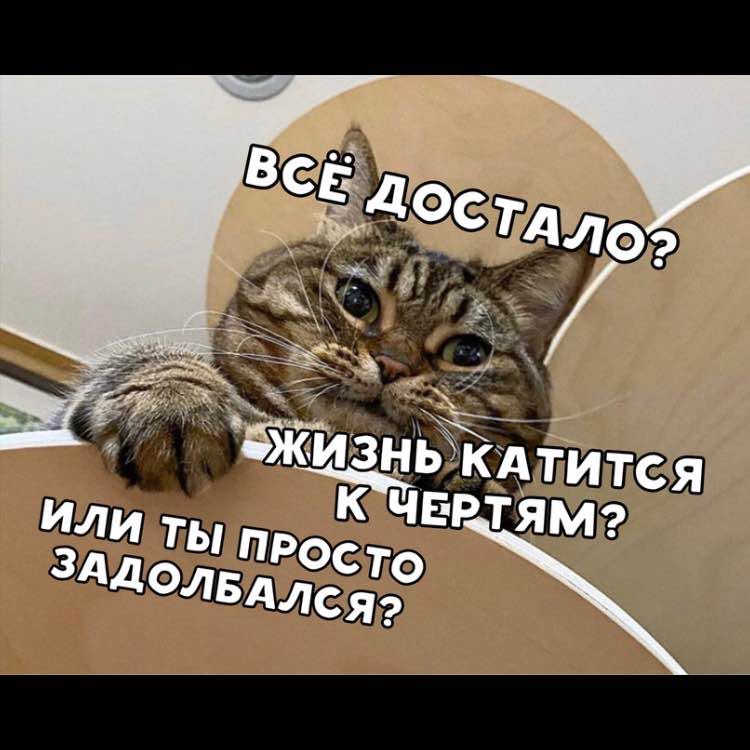 🦊Мария🇷🇺 post 2