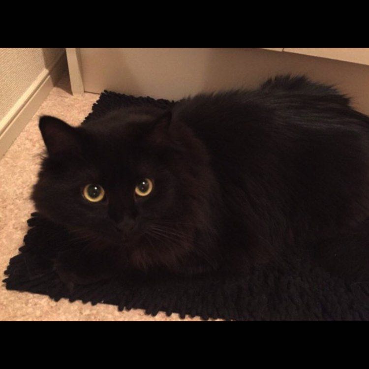 🦊Мария🇷🇺 post 3