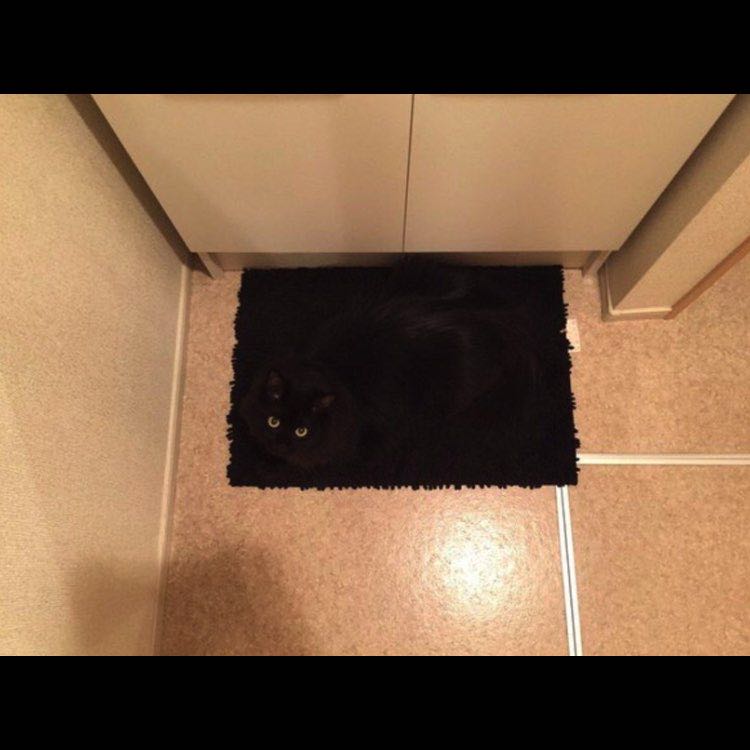 🦊Мария🇷🇺 post 2