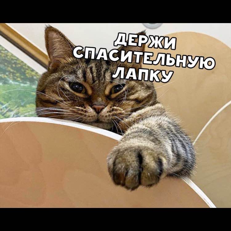 🦊Мария🇷🇺 post 3