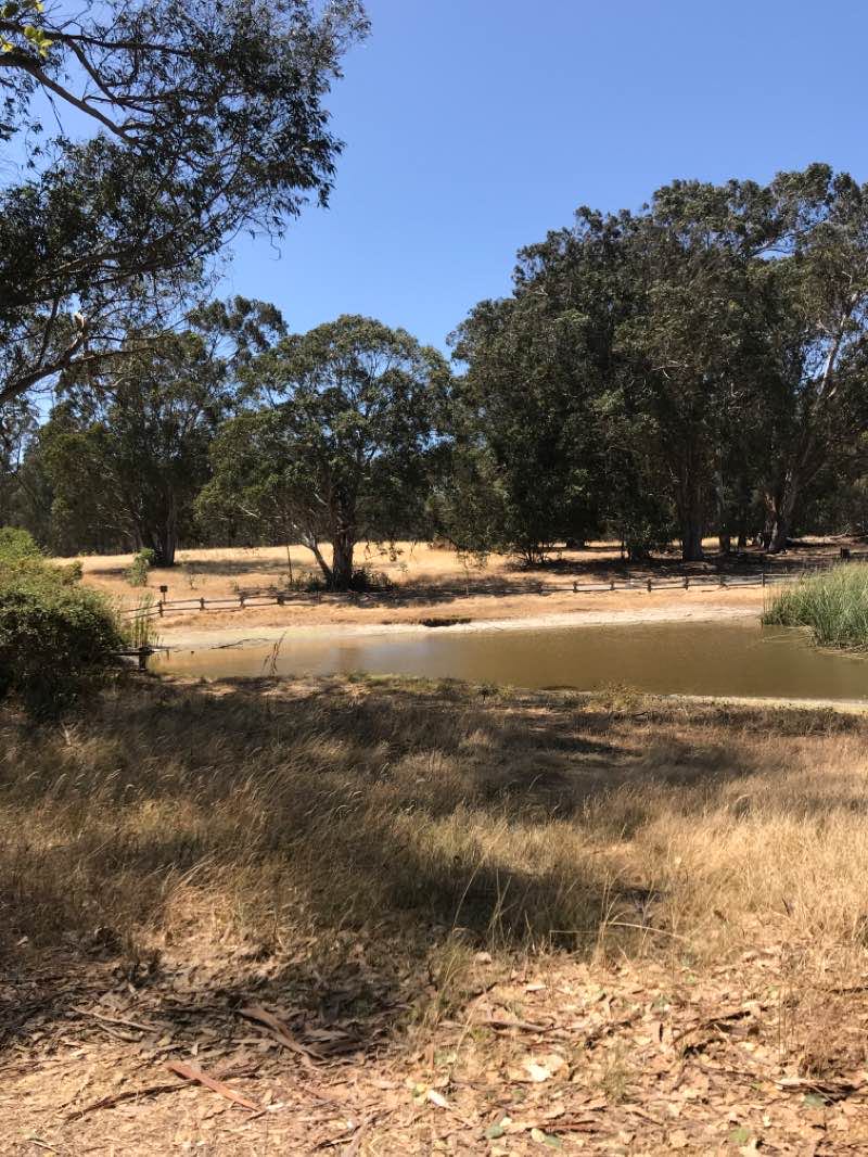 walking near me in Point Pinole Regional Shoreline in winter