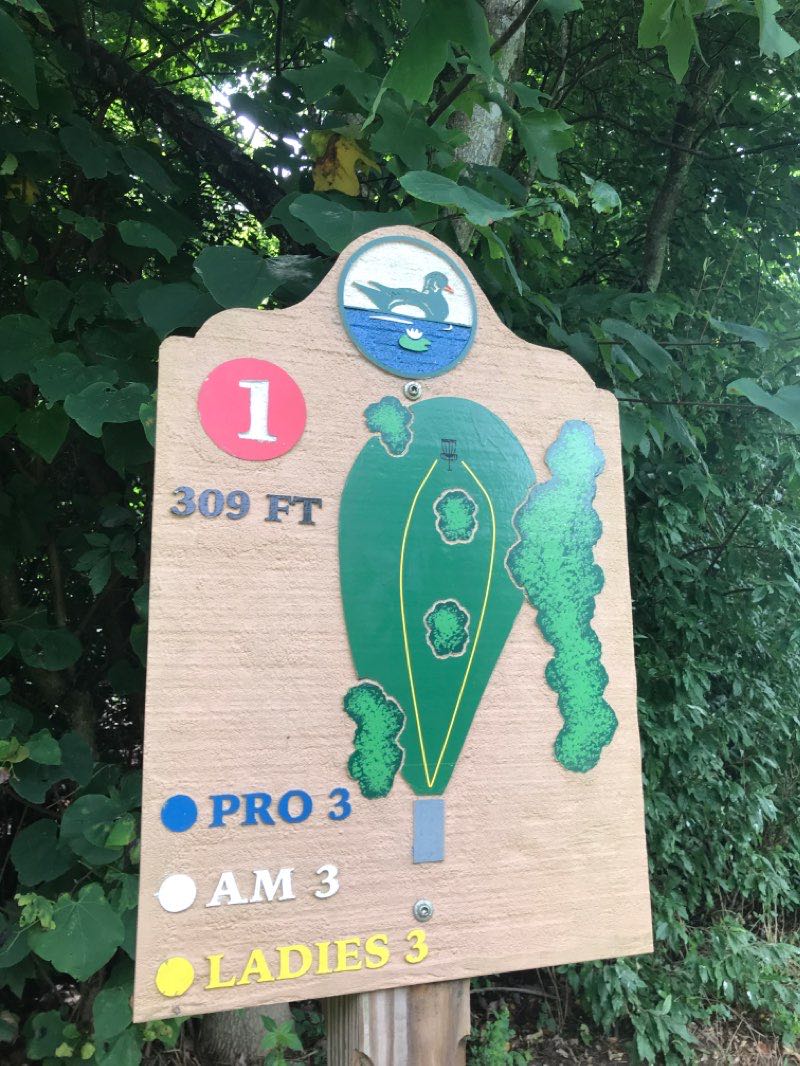 walking near me in Sugar Hollow Park in winter