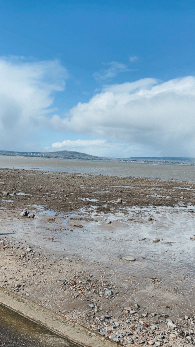 walking near me in Holywood Nature Park in winter