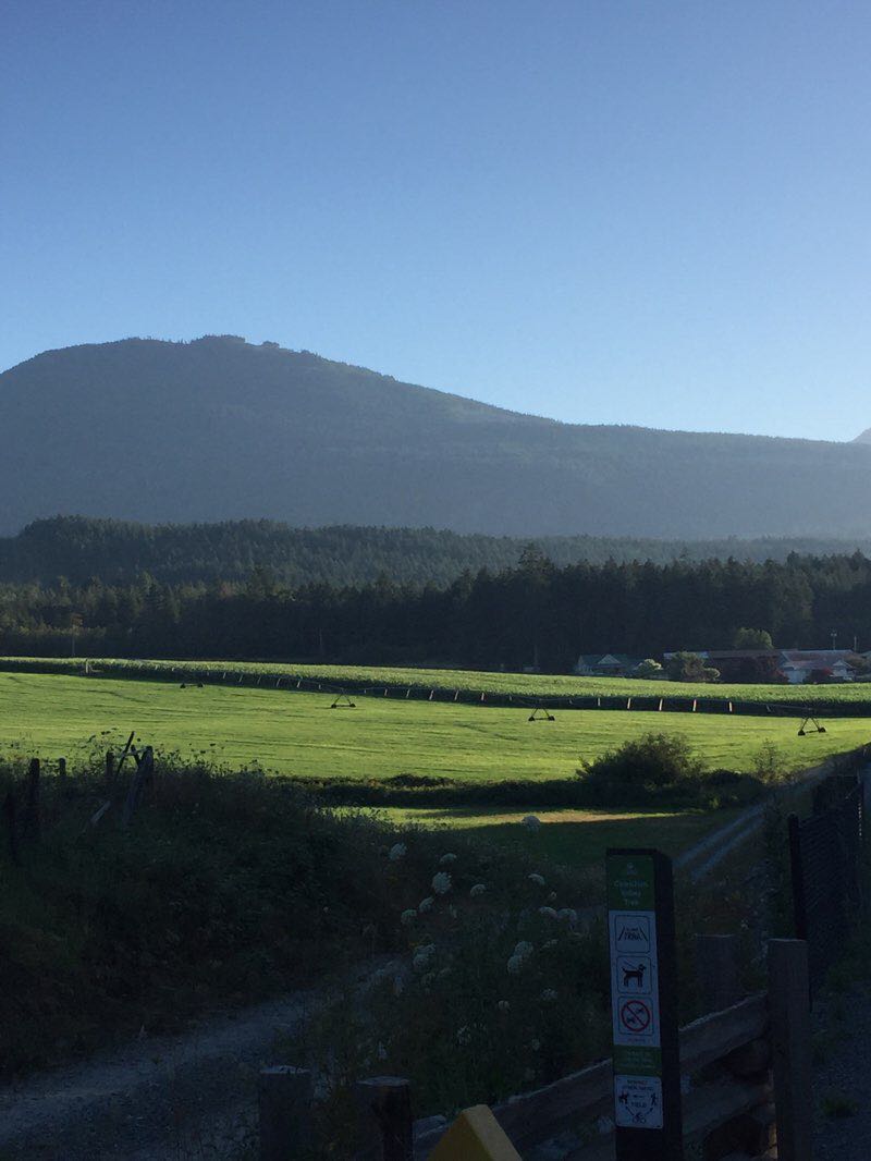 walking near me in Stocking Creek Park in winter