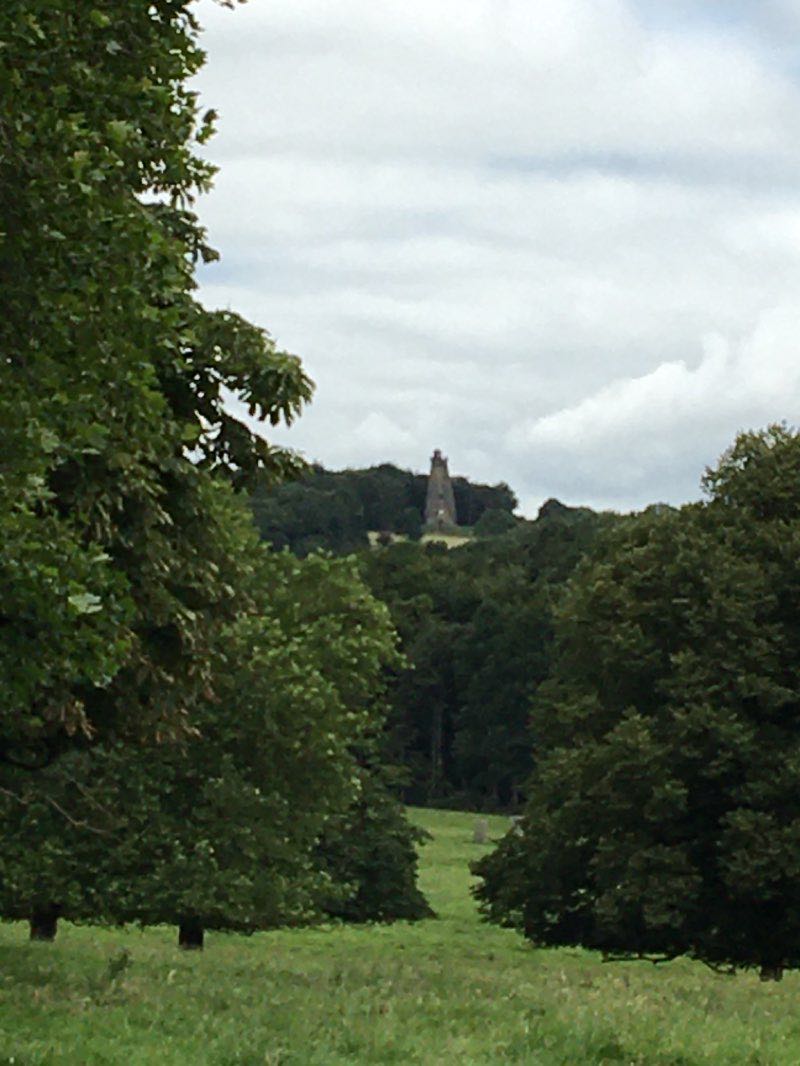 walking near me in Wentworth Park in winter