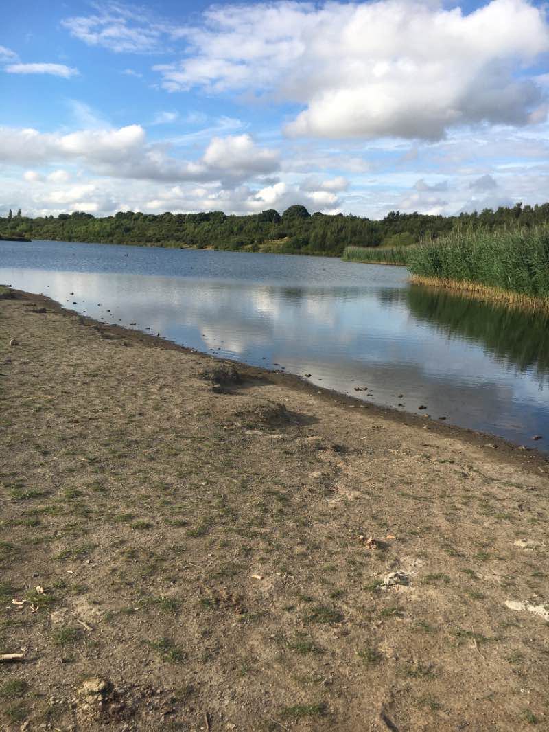 walking near me in Maurice Lea Memorial Park in winter