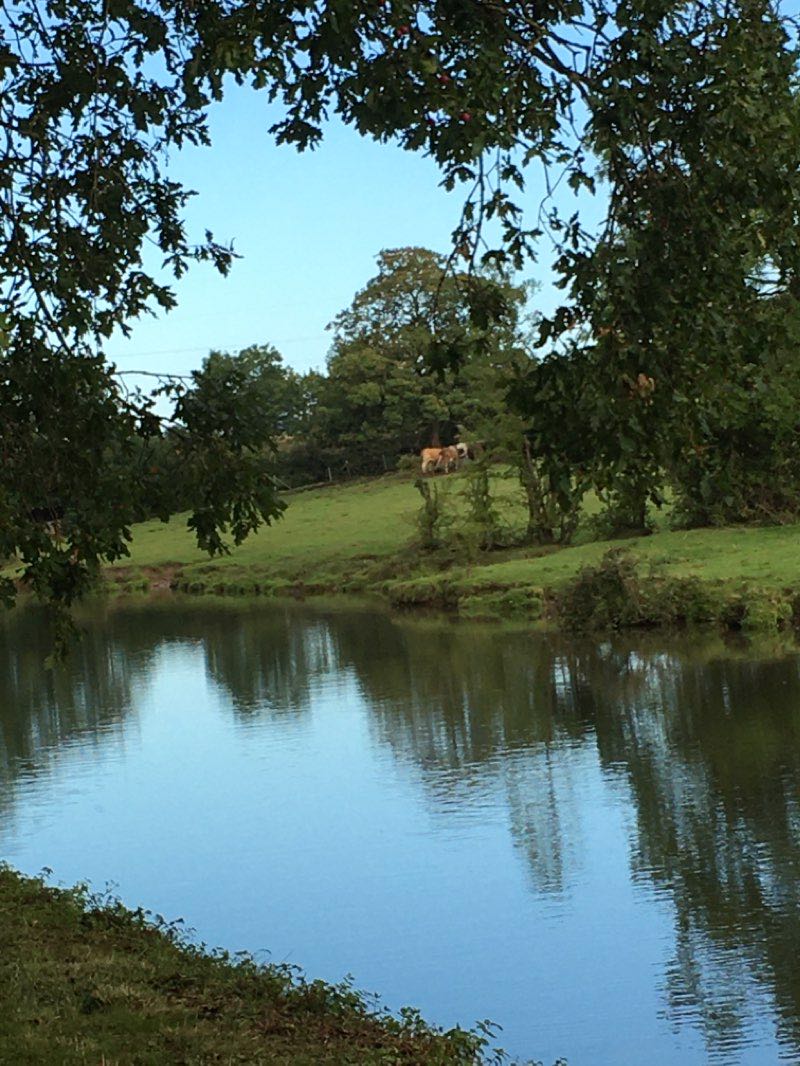 walking near me in GEC Recreation Ground in winter