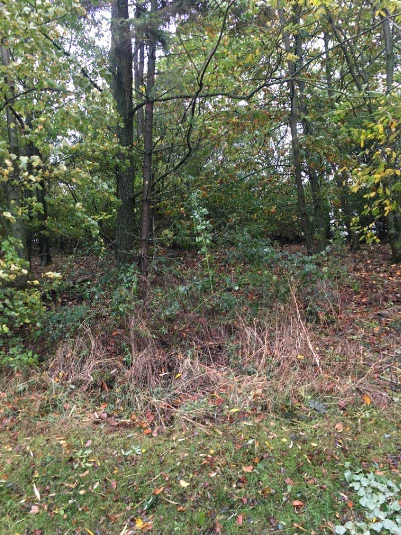 walking near me in Draycote Water Country Park in winter