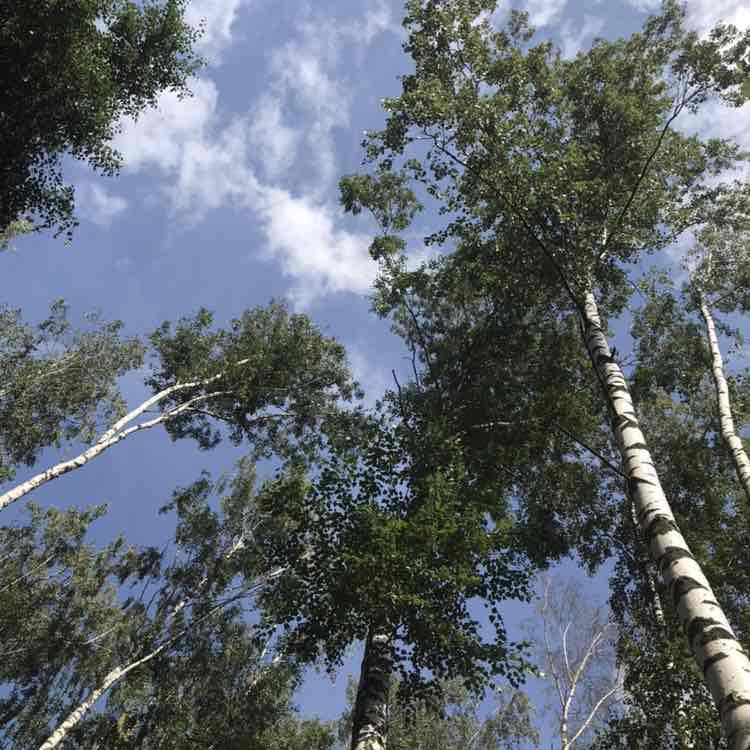 Нестерова Елена post 3