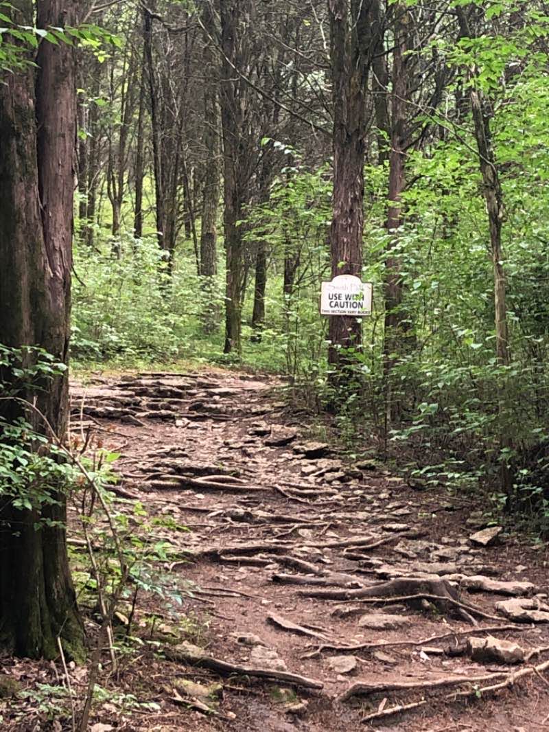 walking near me in Marcella Vivrette Smith Park in winter