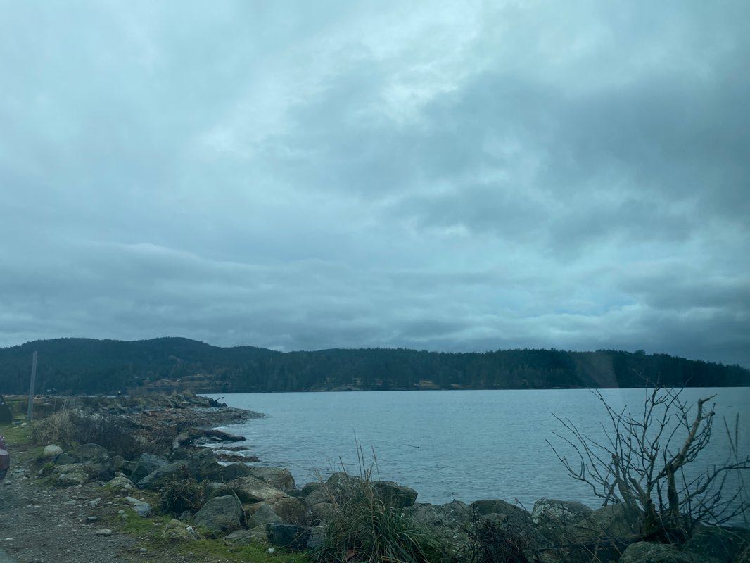 walking near me in Whiffin Spit Park in winter