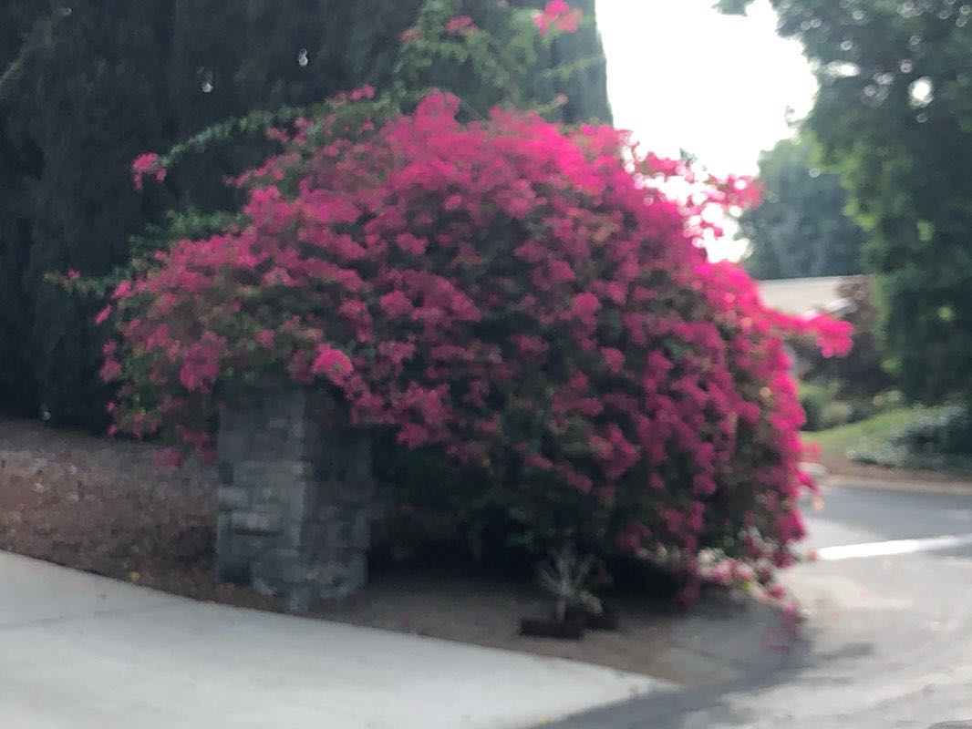 walking near me in Conejo Creek Park South in winter