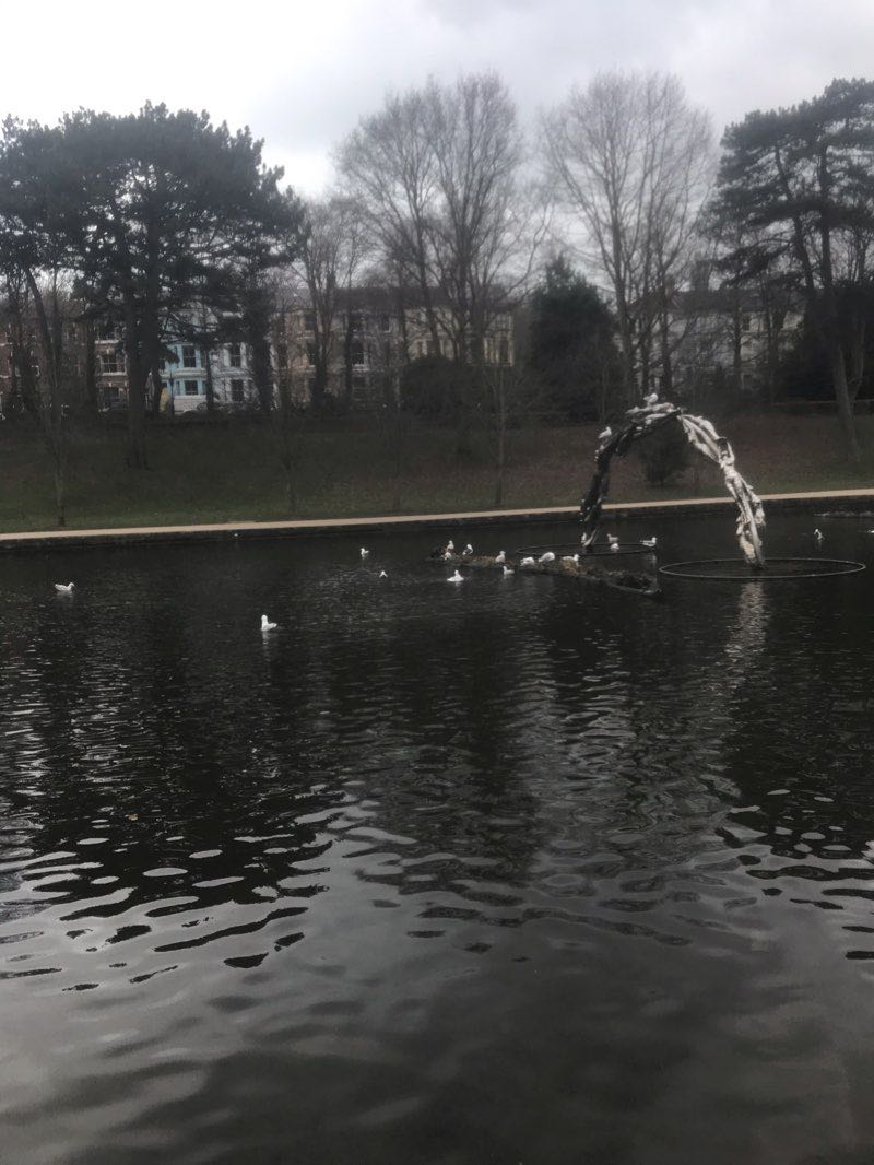 walking near me in Alexandra Park in winter