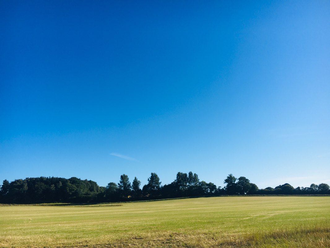 walking near me in Swallowfield Recreation Ground in winter