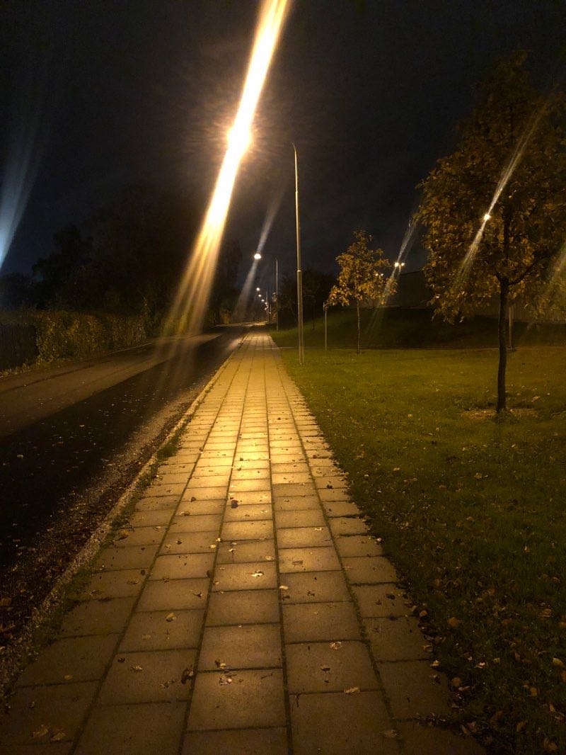 walking near me in Mariaparken in winter