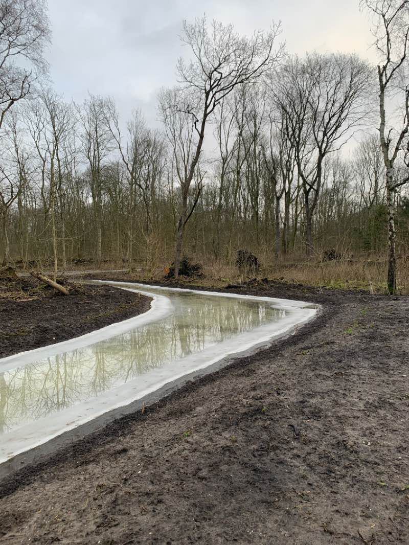 walking near me in Kralingse Bos in winter