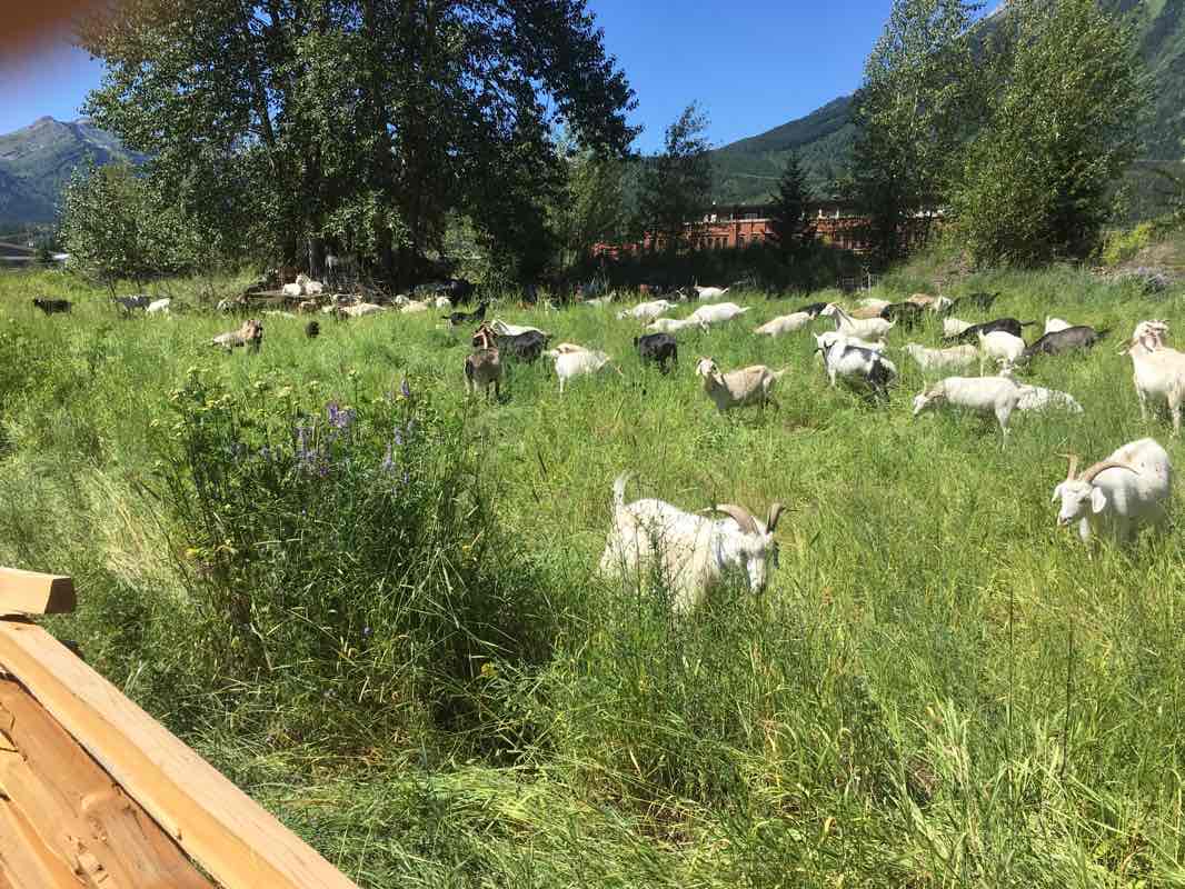 walking near me in James White Park in winter