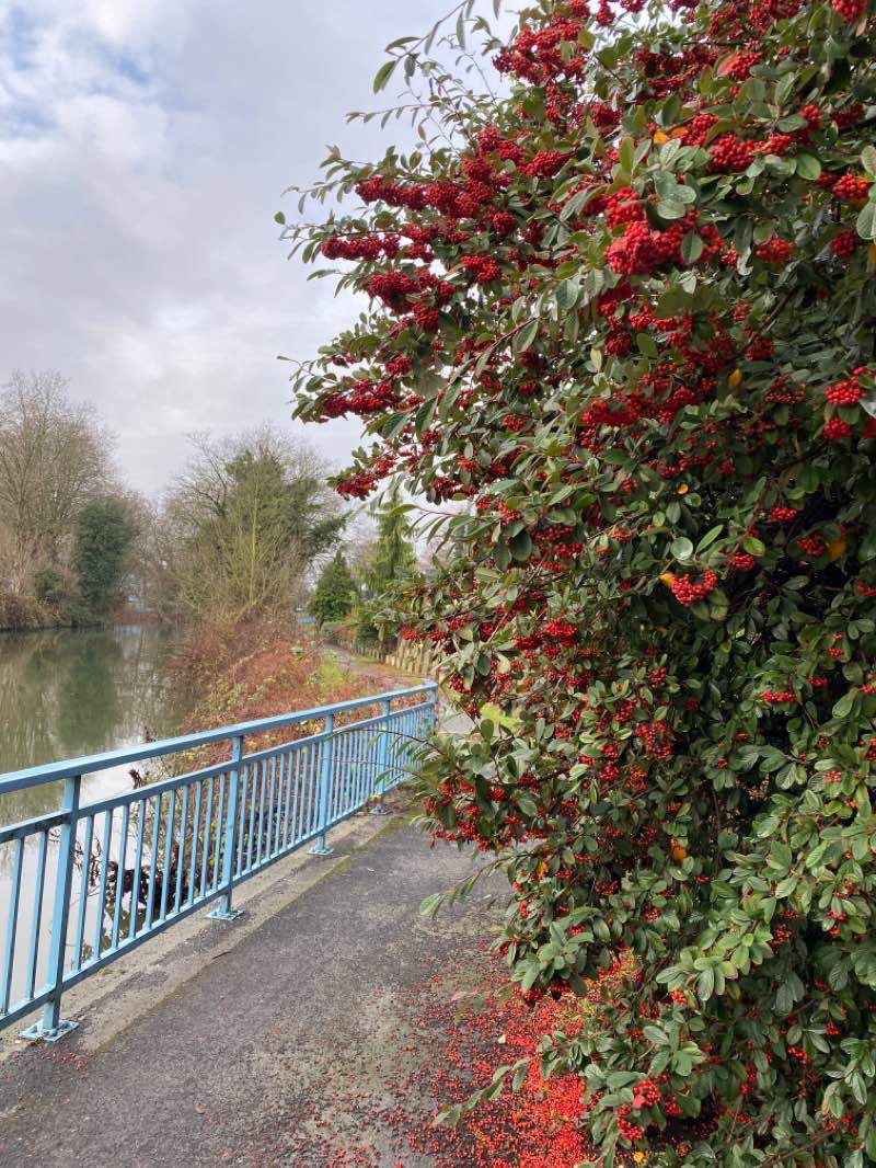 walking near me in Esplanade de l'Arsenal in winter