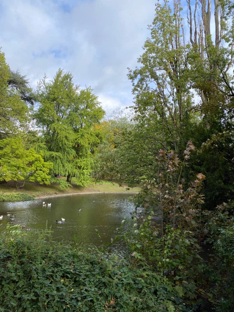 walking near me in Parc Charles Bertin in winter