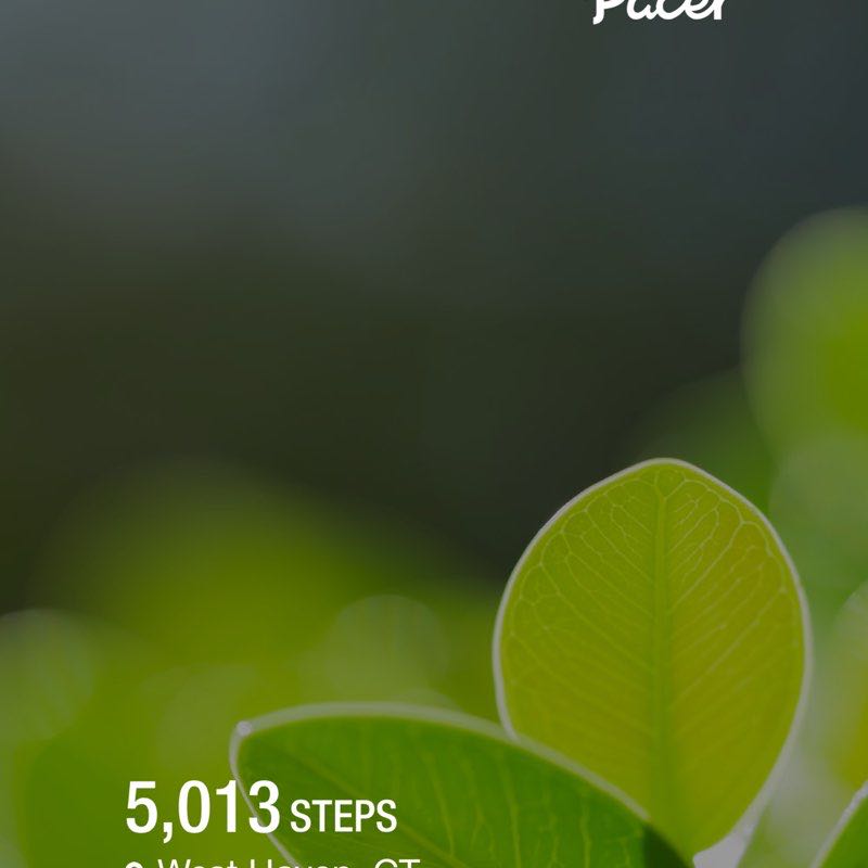 verderamej925 post 1