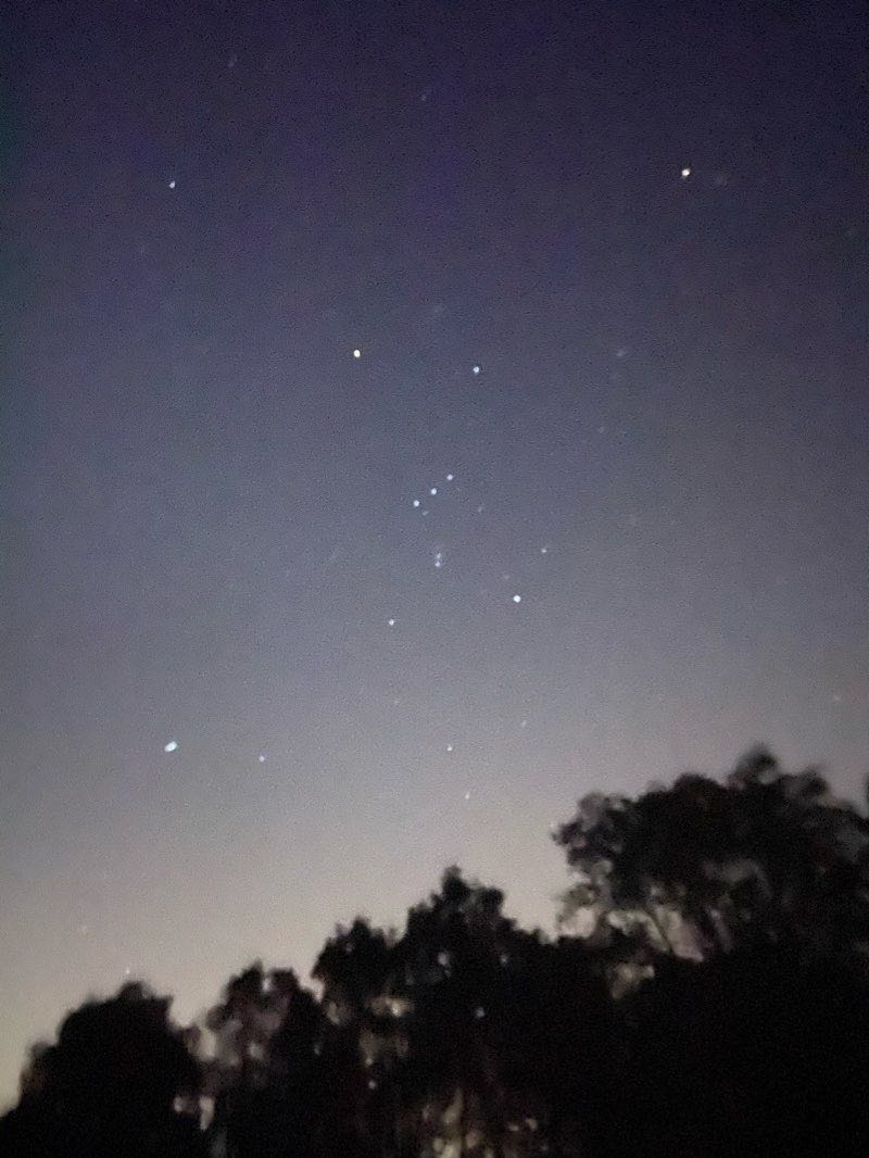 walking near me in Village Park in winter