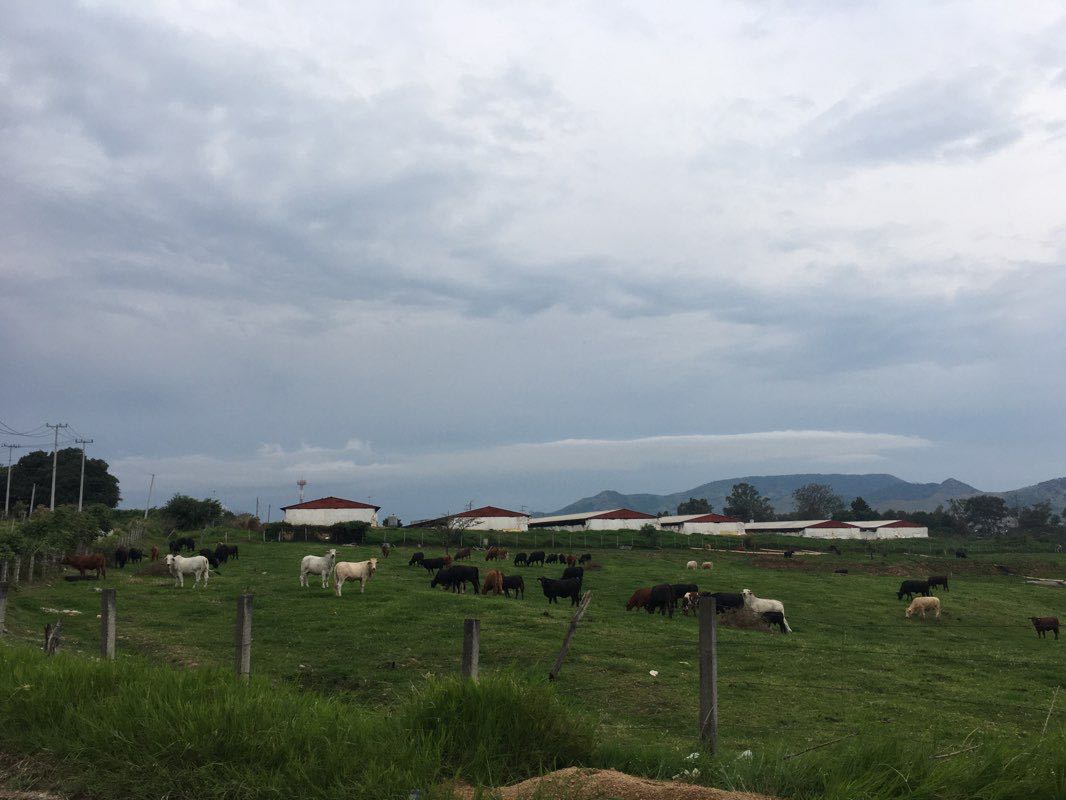 walking near me in Parque Lineal Los Treboles in winter