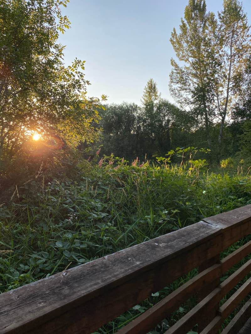 walking near me in Orchard Park in winter