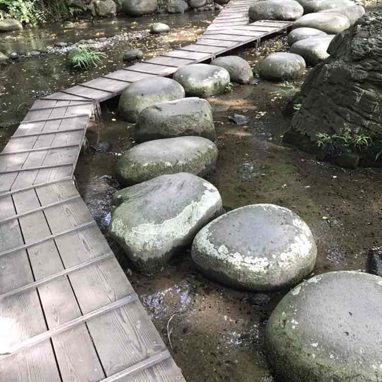 Freedom🐰🐲🐒🐶 post 1