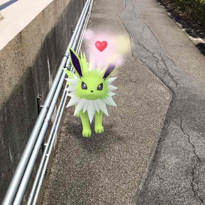 Freedom🐰🐲🐒🐶 post 1