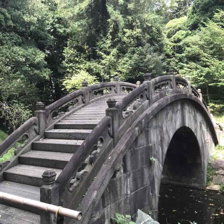 Freedom🐰🐲🐒🐶 post 3