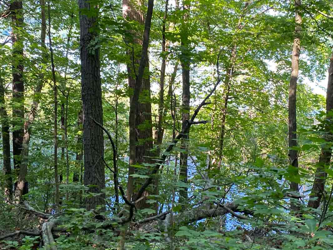 walking near me in Vanderbilt Mansion National Historic Site in winter