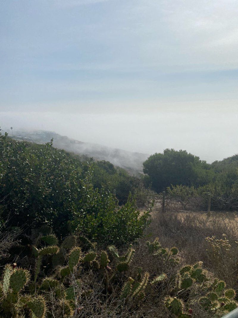 walking near me in Shoreline Park in winter