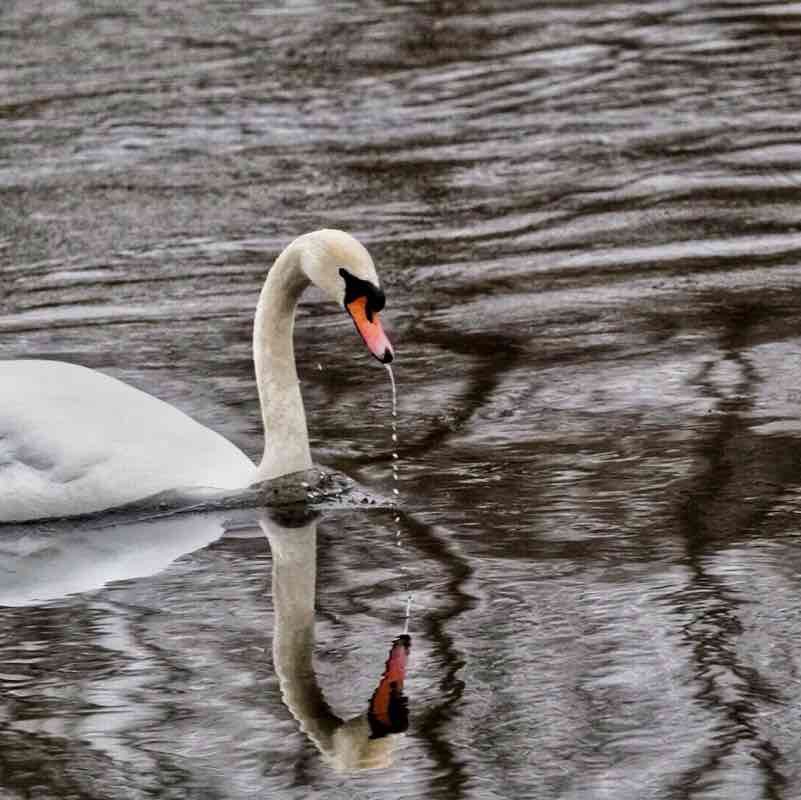 Tommykeenan56 post 1