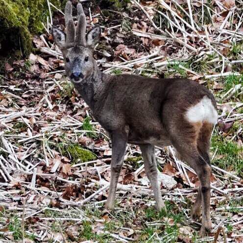 Tommykeenan56 post 1