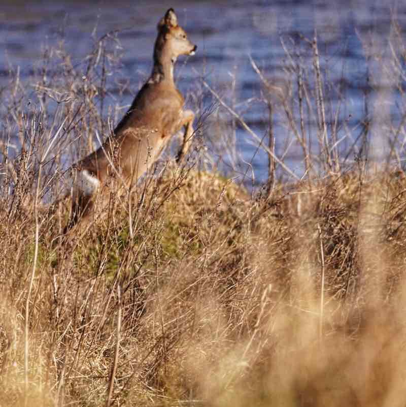 Tommykeenan56 post 3