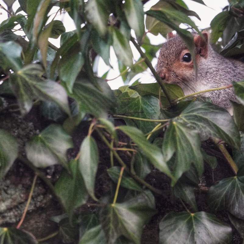 Tommykeenan56 post 2