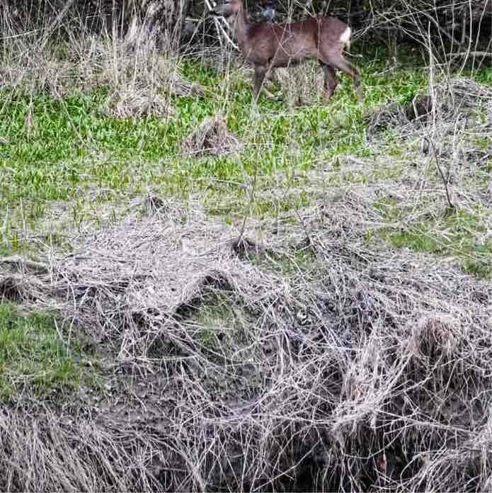 Tommykeenan56 post 2