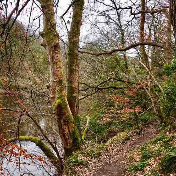 Tommykeenan56 post 3