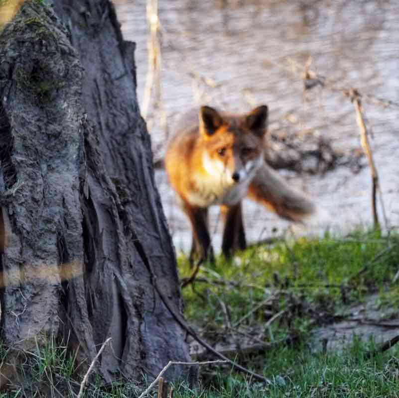 Tommykeenan56 post 1