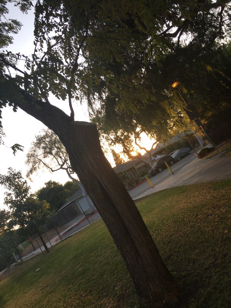 walking near me in Syd Kronenthal Park in winter