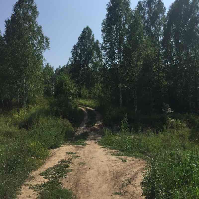 Мария Свитина post 2