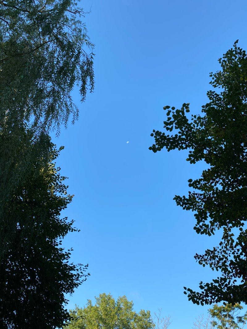 walking near me in Mystic River Reservation in winter