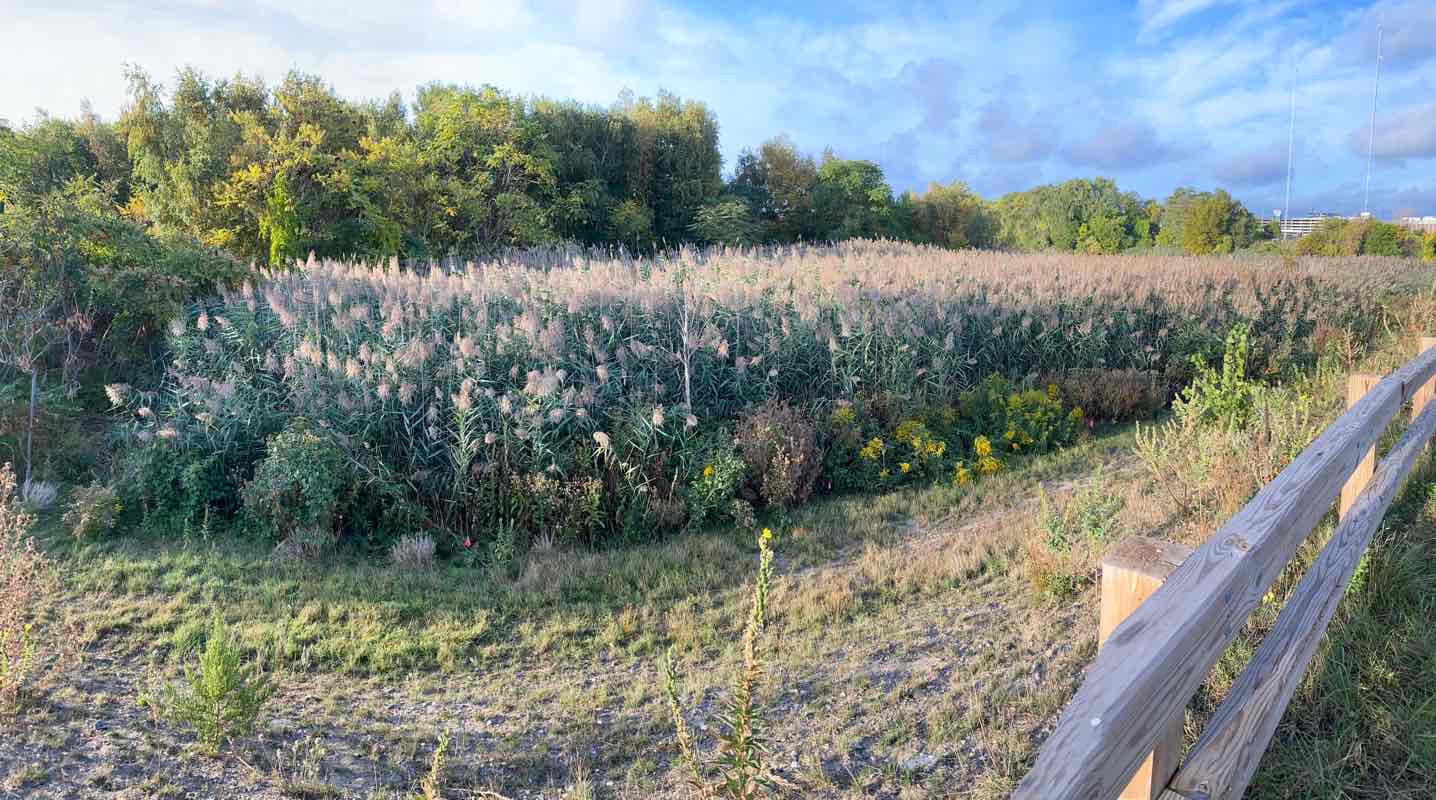 walking near me in Village Landing Park in winter